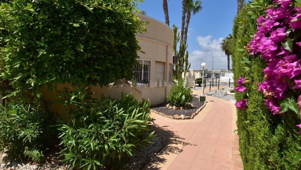 Maison Entiere Avec Piscine, Wifi, Grand Solarium Et Terrain Arbore Villa Orihuela Buitenkant foto